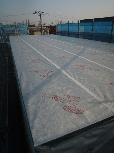 DSCN3121.JPG